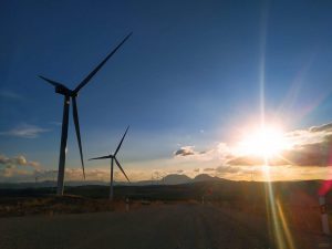 Seguimiento de parques eólicos vigilancia ambiental en Málaga Consultoría Sfera1