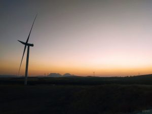 Seguimiento de parques eólicos vigilancia ambiental en Málaga Consultoría Sfera1
